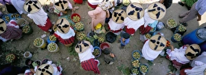 Overhead View Prints: Country market