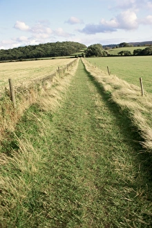 Grassy Prints: Country path, Somerset, England, United Kingdom, Europe