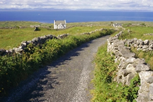 Walk Way Prints: Country road
