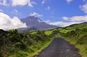 Volcano Prints: Country road with Mount Pico volcano in background, Pico, Azores, Portugal, Europe