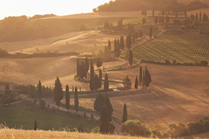 Curving Prints: Country road near Montichiello, Val d Orcia, Tuscany, Italy, Europe