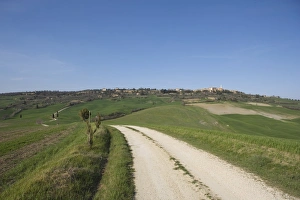 Pienza Prints: Country road near Pienza