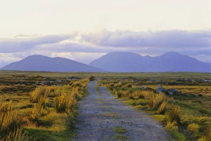 Galway Prints: Country track and hills