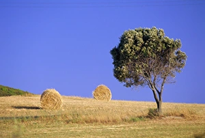 Countryside