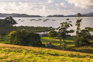 Countryside at Coromandel Town, Coromandel Peninsula, North Island, New Zealand, Pacific