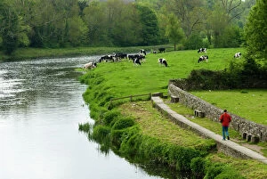 Path Collection: Countryside, County Kilkenny, Leinster, Republic of Ireland (Eire), Europe