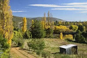 Images Dated 25th April 2011: Countryside in fall, Derwent Valley, near New Norfolk, Tasmania, Australia, Pacific