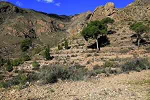 Weathering Prints: Countryside landscape, Sierra Alhamilla mountains