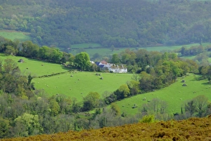 Farm Stead Prints: Countryside near Bovey Tracey, Devon, England, UK