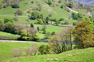 Countryside near Burnsall, Wharfedale, Yorkshire Dales, Yorkshire, England, United Kingdom, Europe