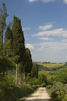 Images Dated 29th January 2000: Countryside near Montepulciano