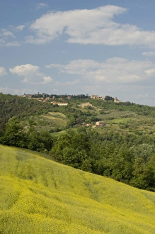 Countryside near Montepulciano