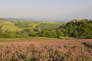 Countryside near Pienza