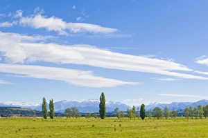 Otago Prints: Countryside near Queenstown, Otago, South Island, New Zealand, Pacific