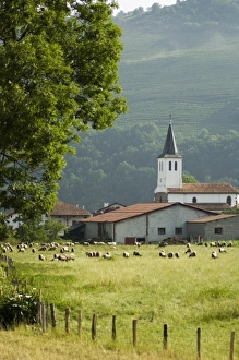 Countryside near Saint Jean Pied de Port (St. -Jean-Pied-de-Port), Basque country
