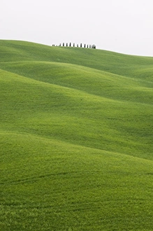 Countryside near San Quirico d Orcia