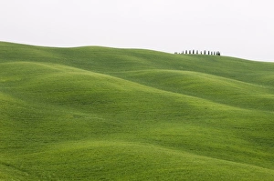 Val Dorcia Prints: Countryside near San Quirico d Orcia