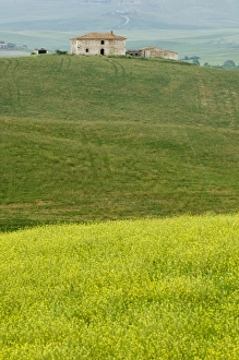 Countryside near San Quirico d Orcia