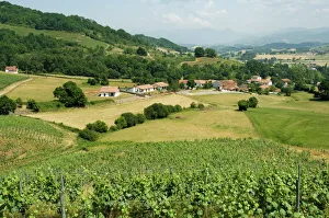 Images Dated 18th January 2000: Countryside near St. Jean Pied de Port, Basque country, Pyrenees-Atlantiques
