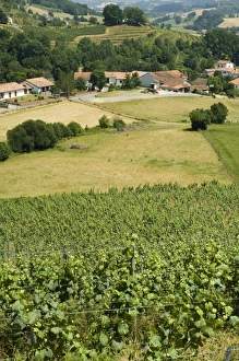 Countryside near St. Jean Pied de Port, Basque country, Pyrenees-Atlantiques