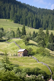 Bucovina Prints: Countryside near Suceava, Bucovina, Romania, Europe