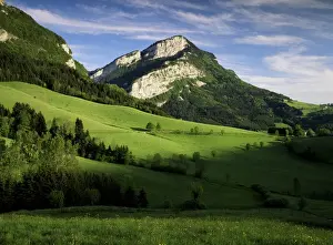 L Imestone Prints: Countryside near Villard de Lans, Parc Naturel Regional du Vercors, Drome