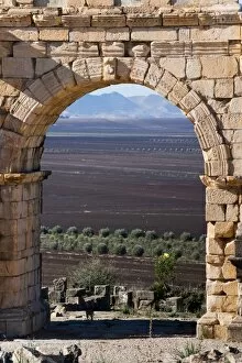 Images Dated 11th November 2009: Countryside around the Roman site of Volubilis, Morocco, North Africa, Africa