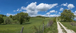 Gubbio Prints: Countryside in spring, Gubbio, Umbria, Italy, Europe