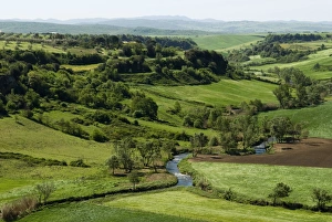 Viterbo Prints: Countryside in Tuscania, Viterbo, Lazio, Italy, Europe