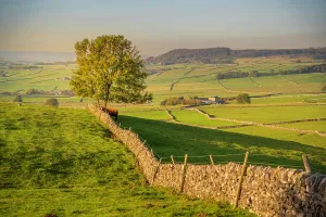 United Prints: Countryside view near Monsal Dale during autumn in Bakewell