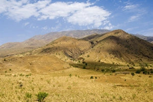 Fogo Prints: Countryside on way to the volcano, Fogo (Fire), Cape Verde Islands, Africa
