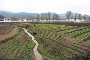 North Korean Prints: Countryside between Wonsan and Hamhung