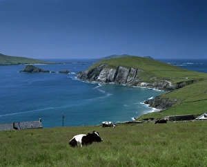 Head Land Prints: County Kerry