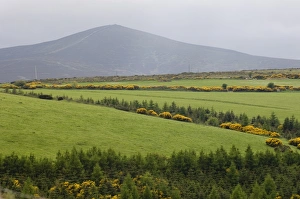 County Wicklow