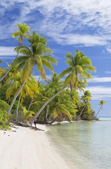 Fakarava Prints: Couple on beach at Les Sables Roses (Pink Sands), Tetamanu, Fakarava, Tuamotu Islands
