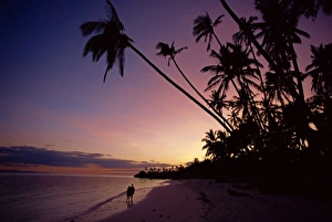 Couple Prints: Couple and palm trees on Alona Beach silhouetted