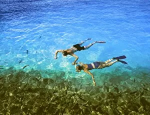 Images Dated 18th June 2010: Couple snorkelling, Maldives, Indian Ocean, Asia