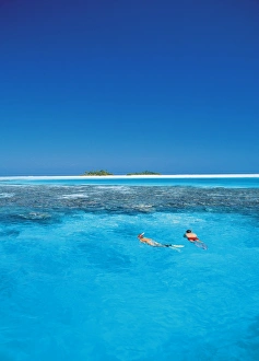 Couple snorkelling in the Maldives, Indian Ocean, Asia