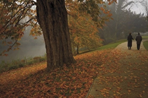 Leave Prints: Couple walking through the Jephson Gardens in autumn, Leamington Spa, Warwickshire
