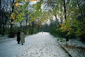 Gardens Prints: Couple walking in the snow in the Tiergarten, Berlin, Germany, Europe