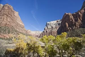 Images Dated 15th November 2007: Court of the Patriarchs, Zion National Park in autumn, Utah, United States of America