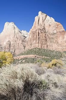 Images Dated 15th November 2007: Court of the Patriarchs, Zion National Park in autumn, Utah, United States of America