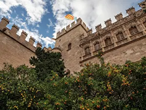 Exchange Prints: Courtyard with orange trees, La Lonja Silk Exchange, Valencia, Spain, Europe