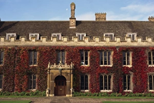 Trinity Prints: Courtyard, Trinity College, Cambridge, Cambridgeshire, England, United Kingdom, Europe