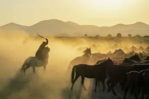 Strength Prints: Cowboy on horse with whip herding wild and semi-wild Yilki horses at sunset