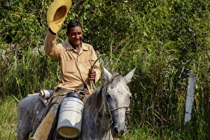 Looking Away Prints: A cowboy on a mule waves his straw hat, Arimao, Cuba, West Indies, Central America
