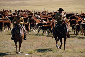 Riding Prints: Two cowboys on horseback