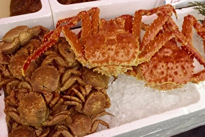 Crab Prints: Crabs on ice for sale in the Seafood Market at Hakodate