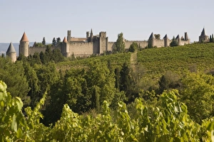 Images Dated 11th August 2007: Cracassonne old city, & vineyards, Aude, France