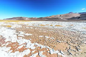 Vast Prints: Cracked desert terrain, Salar de Antofalla, Puna, Catamarca, Argentina